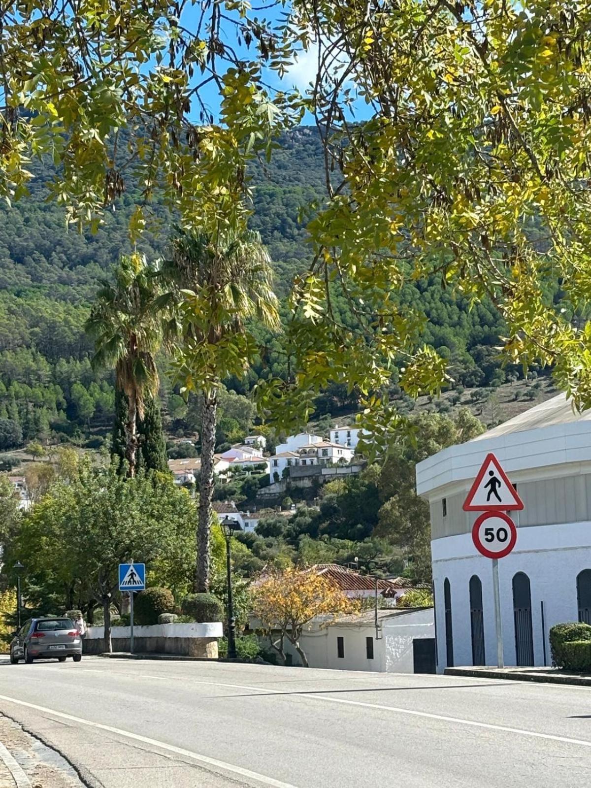 El Rincon De Las Higueras El Bosque Buitenkant foto
