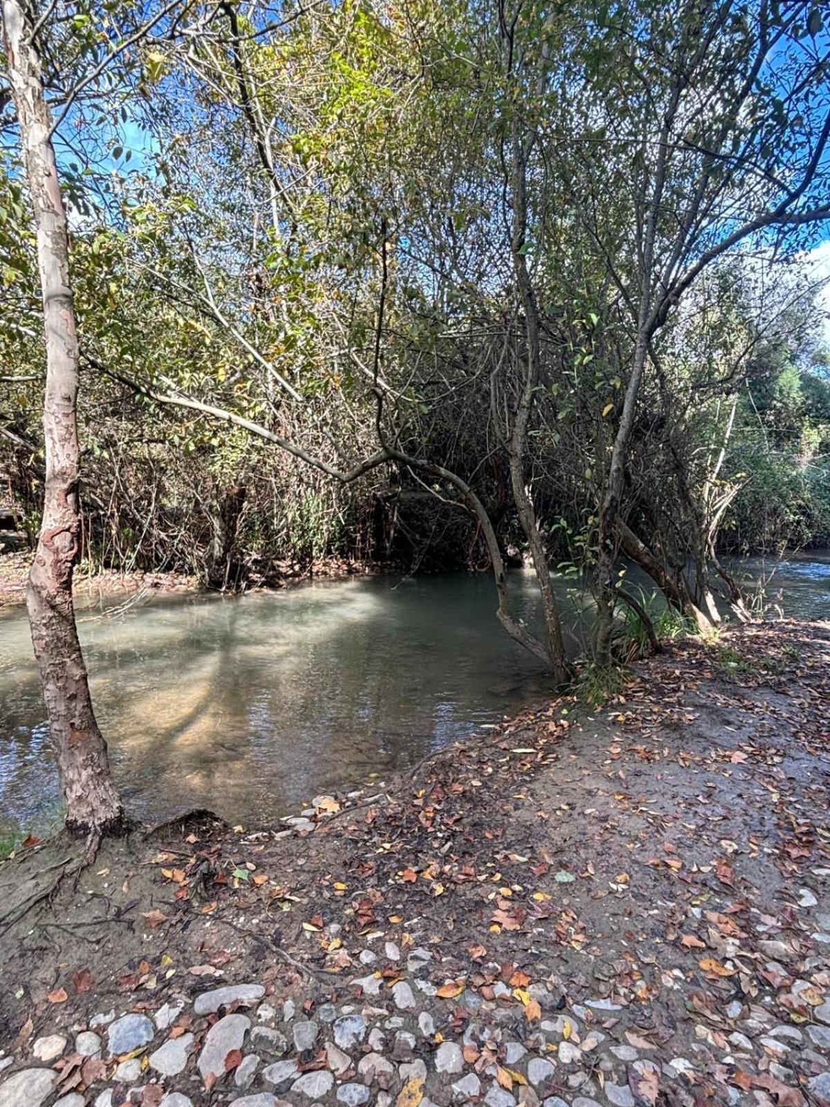 El Rincon De Las Higueras El Bosque Buitenkant foto