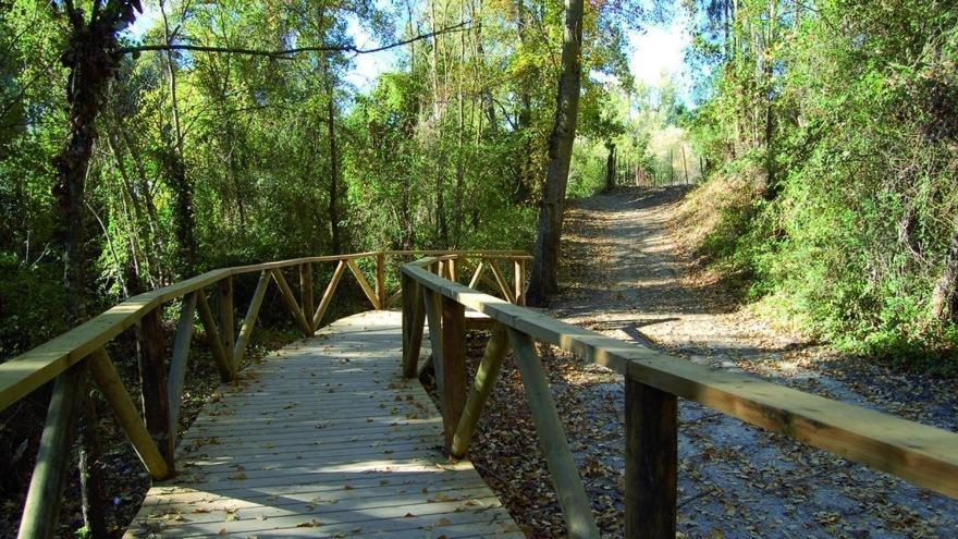 El Rincon De Las Higueras El Bosque Buitenkant foto